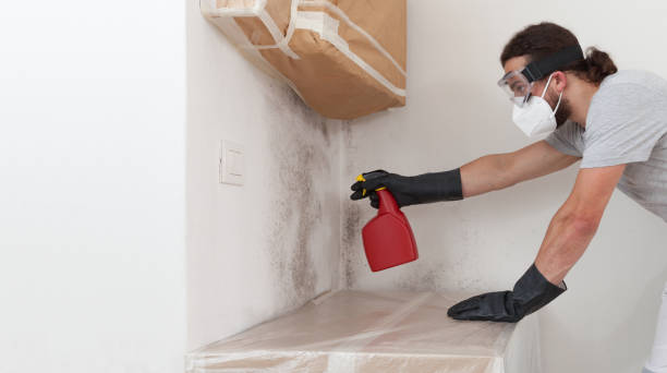 Professional Mold Removal technician working in Fallston, MD