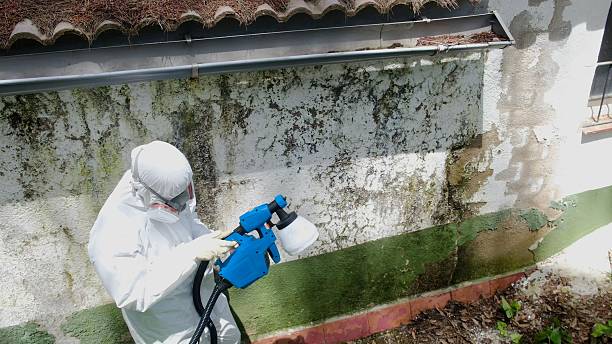 Trusted Mold Testing service in Fallston, MD - Cheap Mold Removal